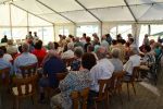 ssv-urbar-sportfest-2015-22