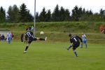 sgurbar2-scweiler1-2014-03