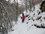 ssv-urbar-winterwanderung-2010-24