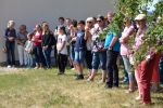 ssv-urbar-sportfest-2019-36