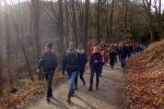 ssv-urbar-winterwanderung-2020-13