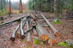 ssv-urbar-winterwanderung-2019-09