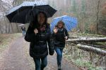 ssv-urbar-winterwanderung-2015-03