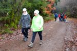 ssv-urbar-winterwanderung-2019-06