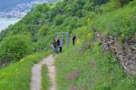 ssv-urbar-1-mai-wanderung-2018-07